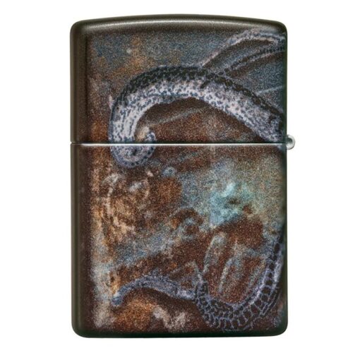 Zippo Pirate Coin 540 Color - 49434 - Hình ảnh 5